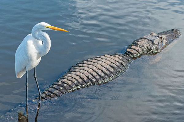 ¹ӰʦMarco Wagner׽վϡ˳糵ľ˲