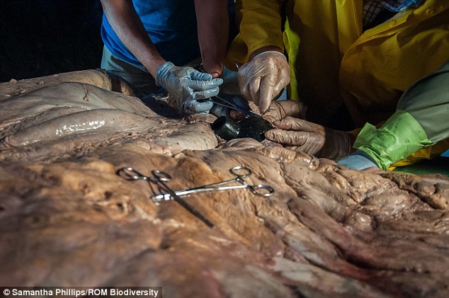 �о���Ա�״ν��������������������и߶�������ô��