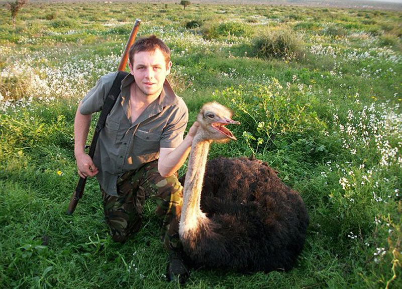 ������չʾ����ɱ������