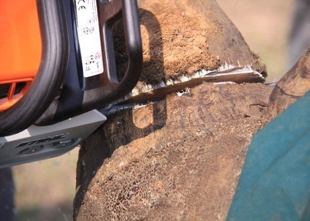 锯角过程若需时20分钟