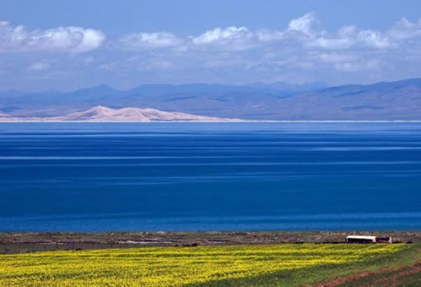 �ຣ������������� �ﵽʮ���������ֵ