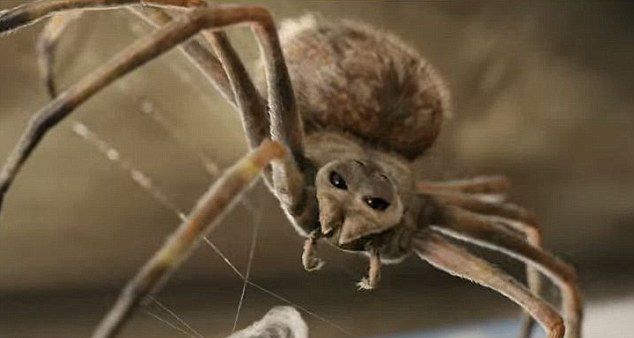 ����Ů��Ӱʦ���Լ��ſ�ץ�ĵ�����Ц��֩����