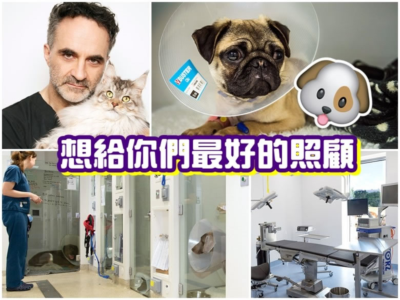 �ƴ�������ˣ�����ͼ������ĳ��ﰩ֢ҽԺ�����¡�����ͼ���豸�Ƚ�