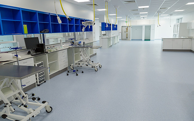 ���������ҷǳ�����