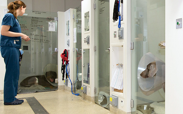 ��ҽ��ҽԺ�ĳ��ӵ�ж����Ŀռ䡣