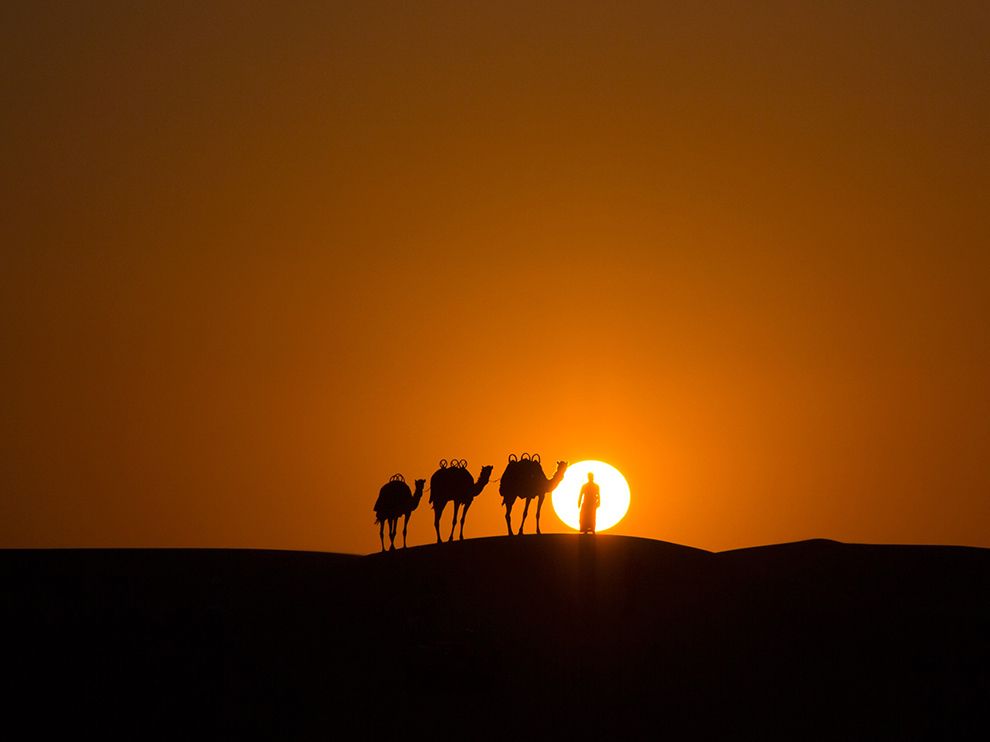 阿联酋的沙漠光影