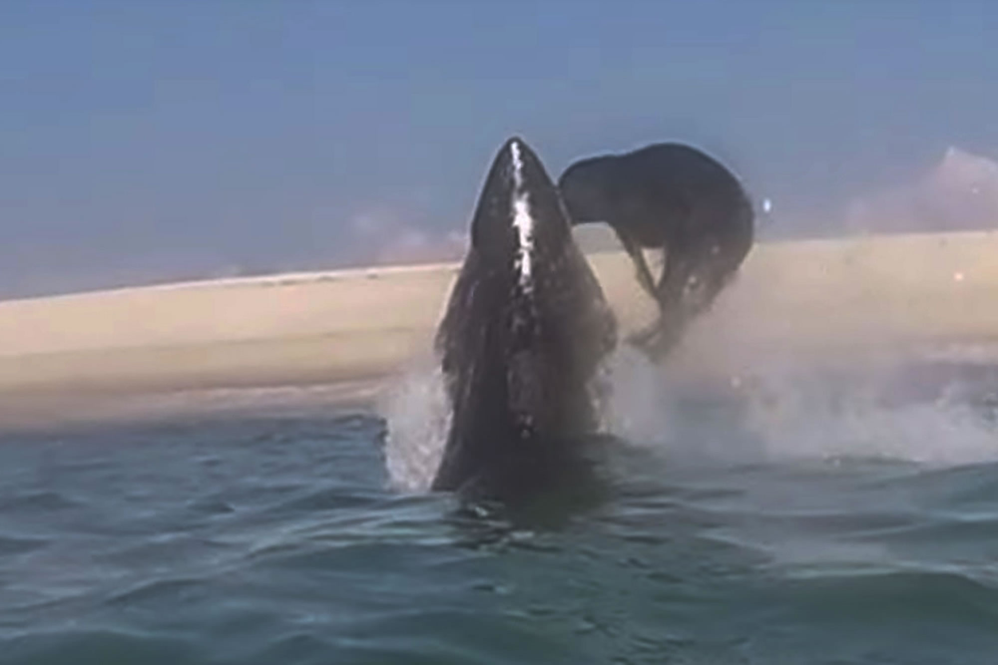 ����һĻ��������ڿƵ½�׷������