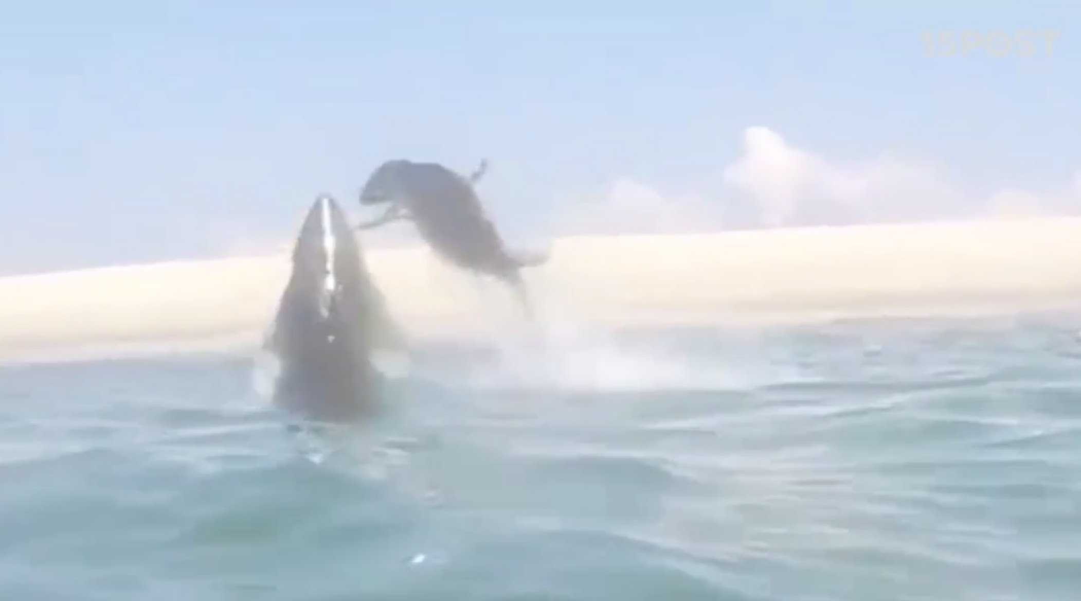 ����һĻ��������ڿƵ½�׷������