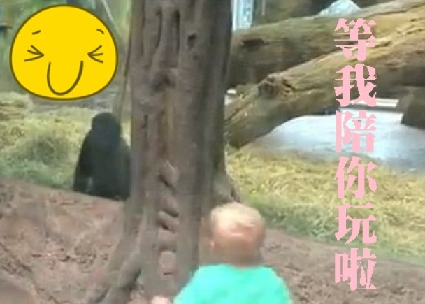 ����������ɸ��Ų�������