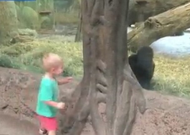 ���Ƕ��������ɺ󣬲�Ը�Է������Լ���