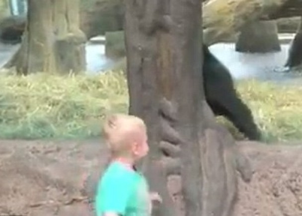 ����δ����ȫ�ڸǴ����ɵ����壬���ؿ����󲻽�Ц�˳�����