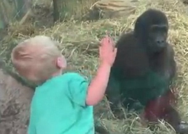 �����뿪ʱ�������˵�ټ���