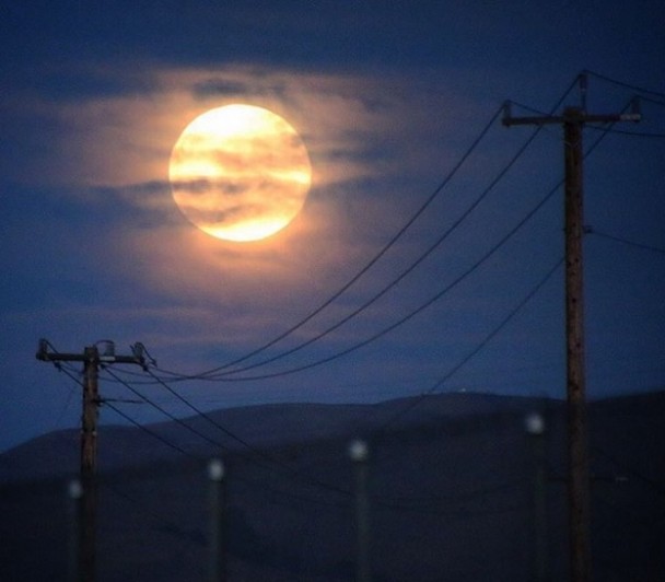 �������ݰ���÷����