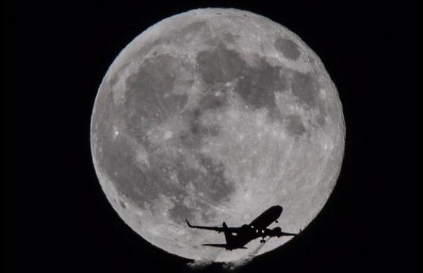 ������ɼ��