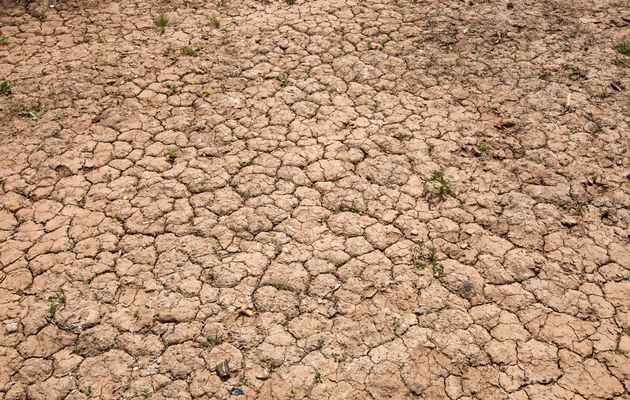 过去50年美国的热浪和干旱同时发生的情况显著增加