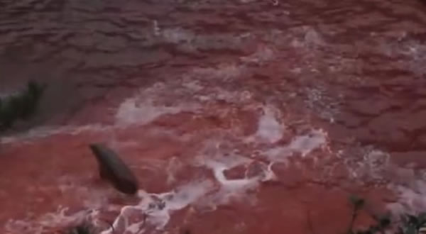 2009年的纪录片《血色海湾》，揭露太地町渔民每年屠杀约2.3万只海豚的事实。