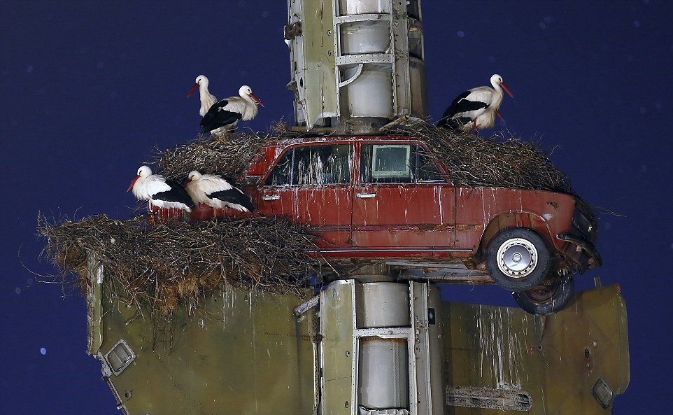 ����Ұ�������飺�ٵ�����