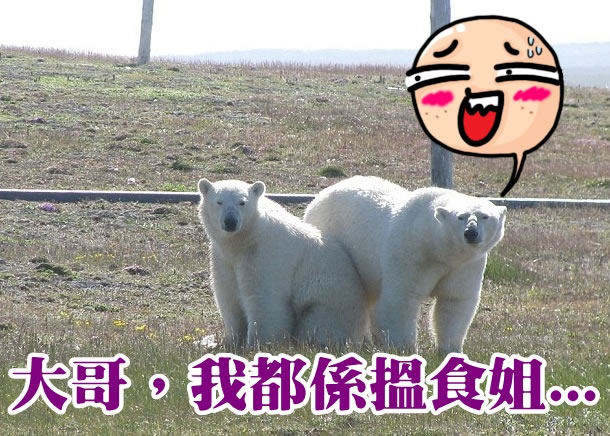 �����ܰ�Χ�о�Ա�Ļ���