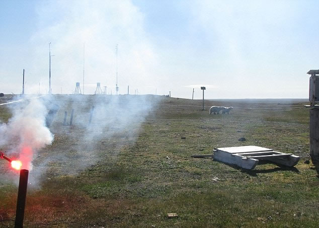 �о�Աʹ�����˵�Ѷ�Ż�⣬���������ƺ������¡�