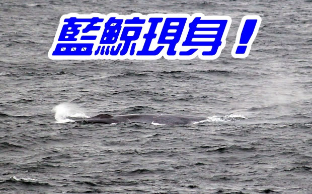 ���������ڿ��ֶ����Կ�400����ĺ����ι�