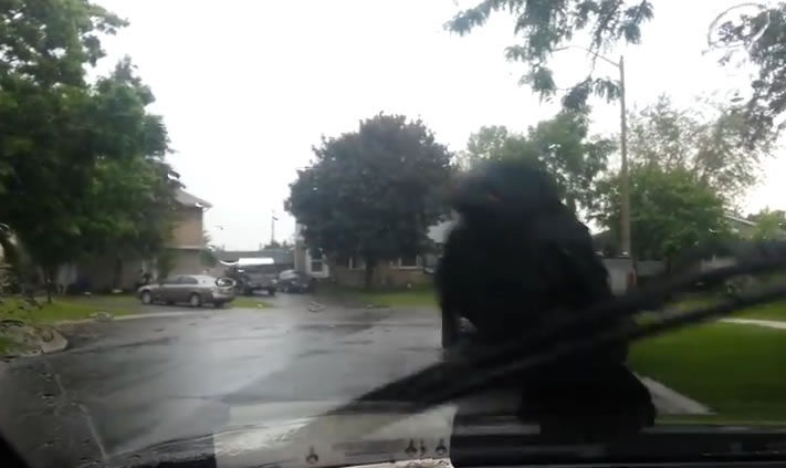 ˾��ϣ����ѻ�����ߣ������ɹ���