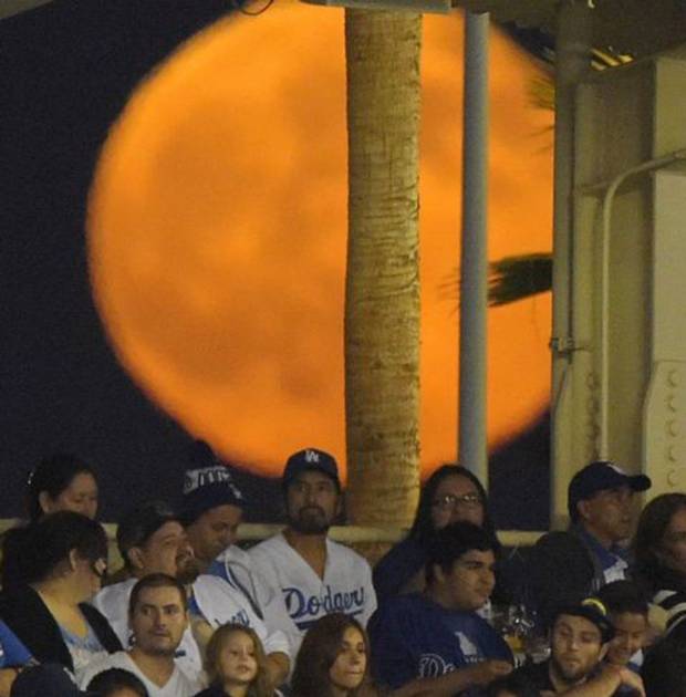 2014��7��12�գ�������ɼ�����Թۿ���������ڼ䣬���Ա������𳬼�������