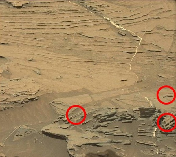 ��Ʈ�����ӡ�����Լ��10���׳�������ӹ�ʯ�պôճ�һ������ʳ�ߡ�