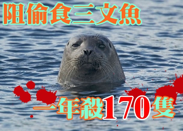 �ո�������������ֳ������2013��2014��乲��ɱԼ170ֻ������