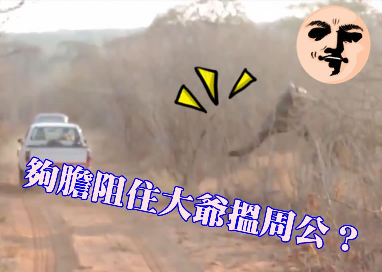 �����г��������ŵ�