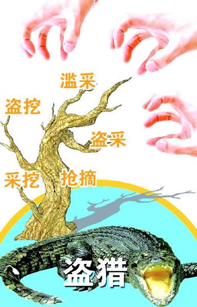 ���ľ�������������󣺵��ڵ���Ұ����ֲ��Ƶ��