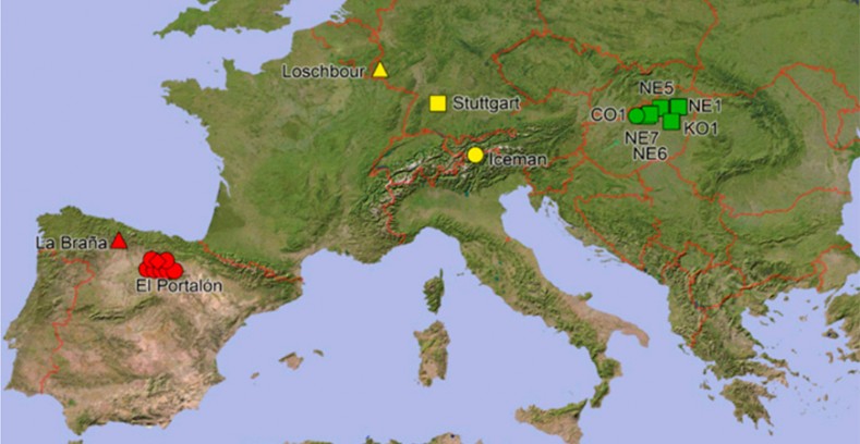 �ִ���˹�������������ǰ뵺�ĹŴ�ũ���ϵ��Ϊ����