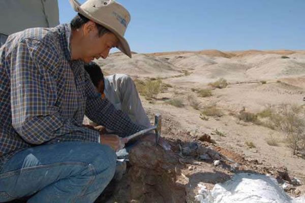 ������Ұ���ھ�ʯ