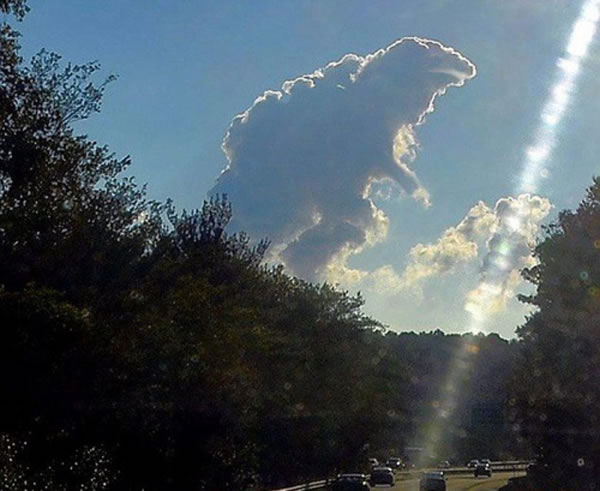 《被唤醒的哥斯拉》