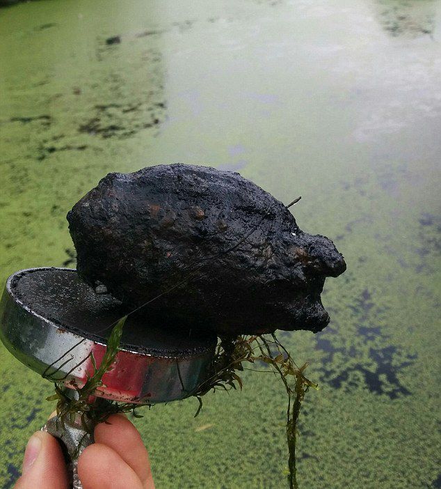 Ӣ��8����ͯ��ǿ�Ŵ����������ս����