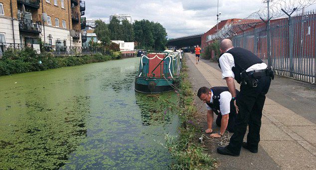 Ӣ��8����ͯ��ǿ�Ŵ����������ս����