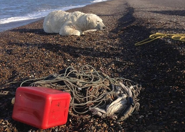 Լǧ���صı����ܱ�������ס��������Ѷ������Աǰ�����ȡ�