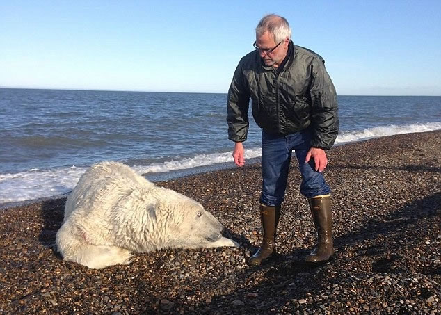 ־Ը��ȷ�ϱ�����δ�����˺���ͷ���Ȼ