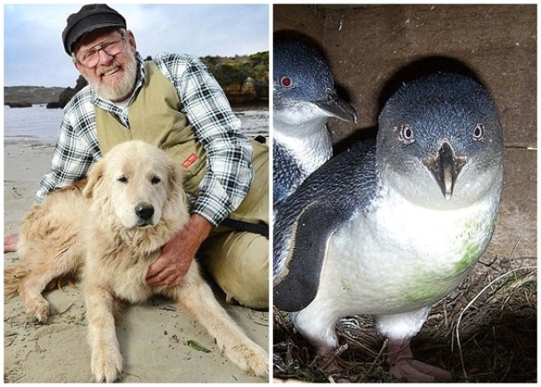 ��ʲ���䰮Ȯ����ͼ���ɹ�����������죨��ͼ�����������