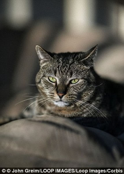 è������ ���˲��ڸ�����Ȼ�Ե�