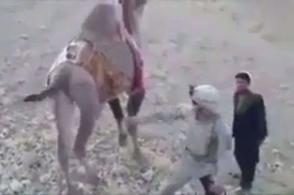 פ����������ʿ���������ղұ��ߵ�