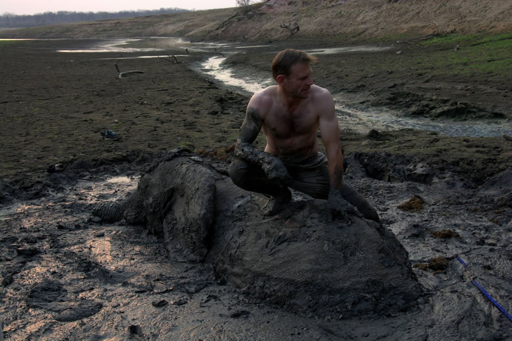 赞比亚年轻大象陷入泥沼动弹不得 非洲导游冒险救出仍太迟