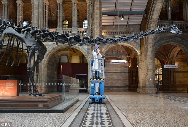 ӢȻʷݾ޴ǼDippy½Ӣѡַ