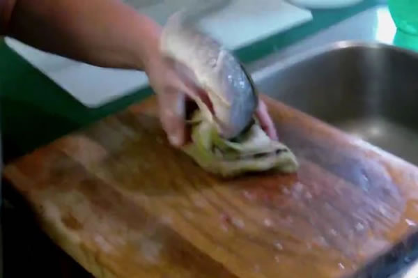 һȥͷȥĹԻƵߺ조ס