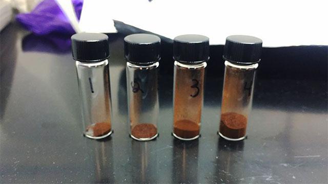 Լս˹ѧϳɵĸӹ֡һԶǵ泣ʣڤǱۺɫڤһ߿ܾɵ