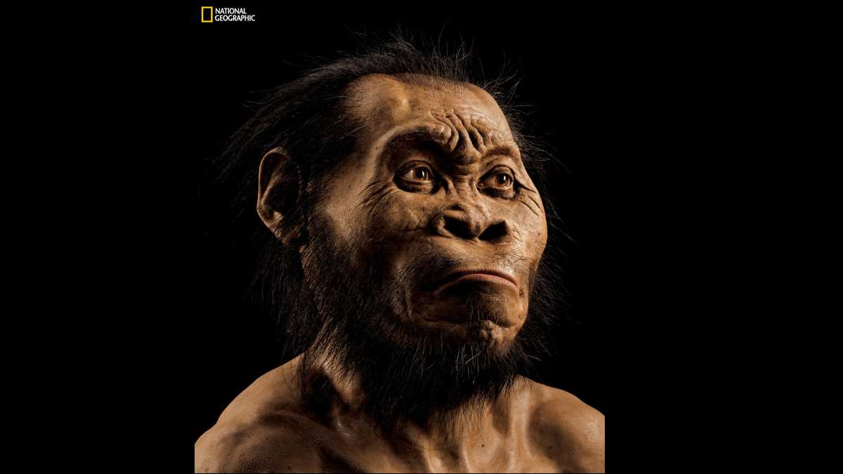 南非发现脑袋只有橘子大小的新人种“纳莱蒂人” 会把尸体藏在山洞里