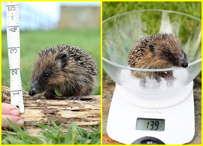 Ĵָ�������߲���3��������ֻ��139�ˡ�