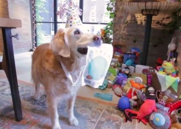 �Ƶ�Ϊ�������ᰲ�������ɶ�