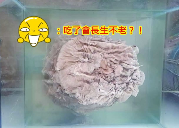 ����������ǰ�ڵ���ʰ�����ơ�̫�ꡱ