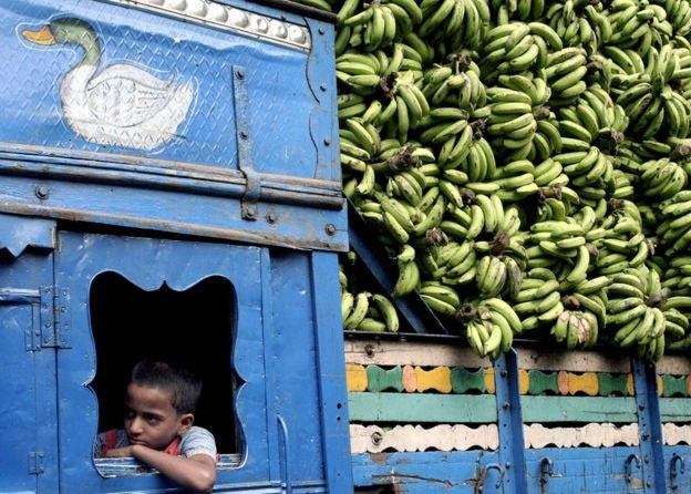 �㽶������һ���ܻ�ӭ��ˮ��