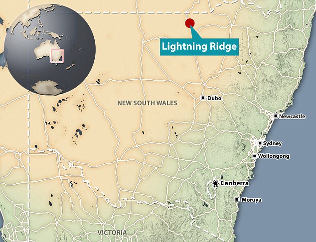 澳洲发现疑是新品种的巨大肉食恐龙化石 绰号“电爪”